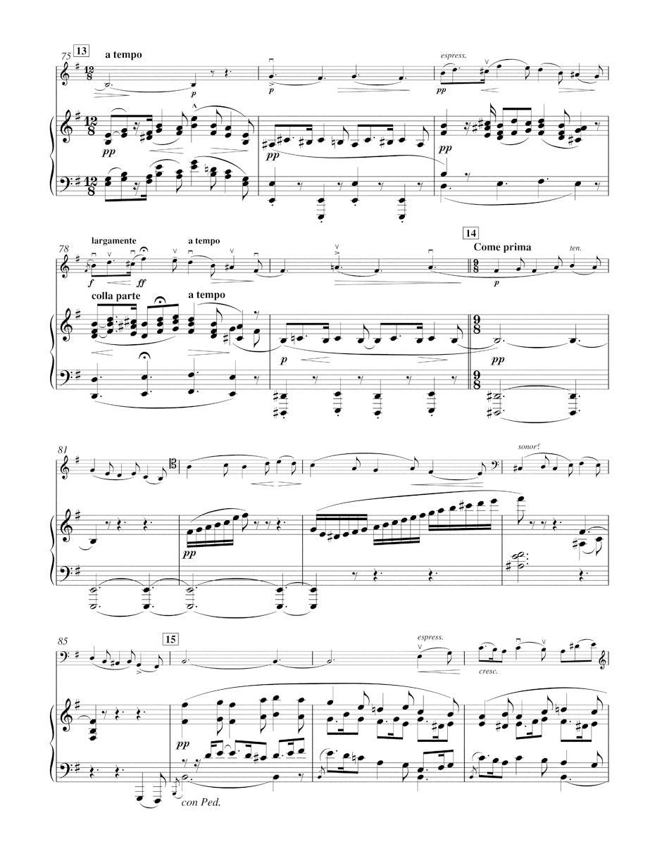 Baerenreiter Elgar Concerto for Violoncello and Orchestra in E minor op. 85