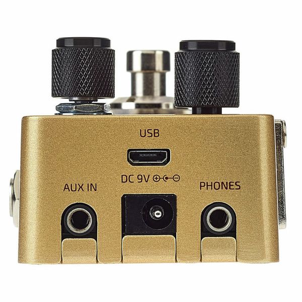 Hotone Omni AC Simulation Guitar Bass Effects Pedal