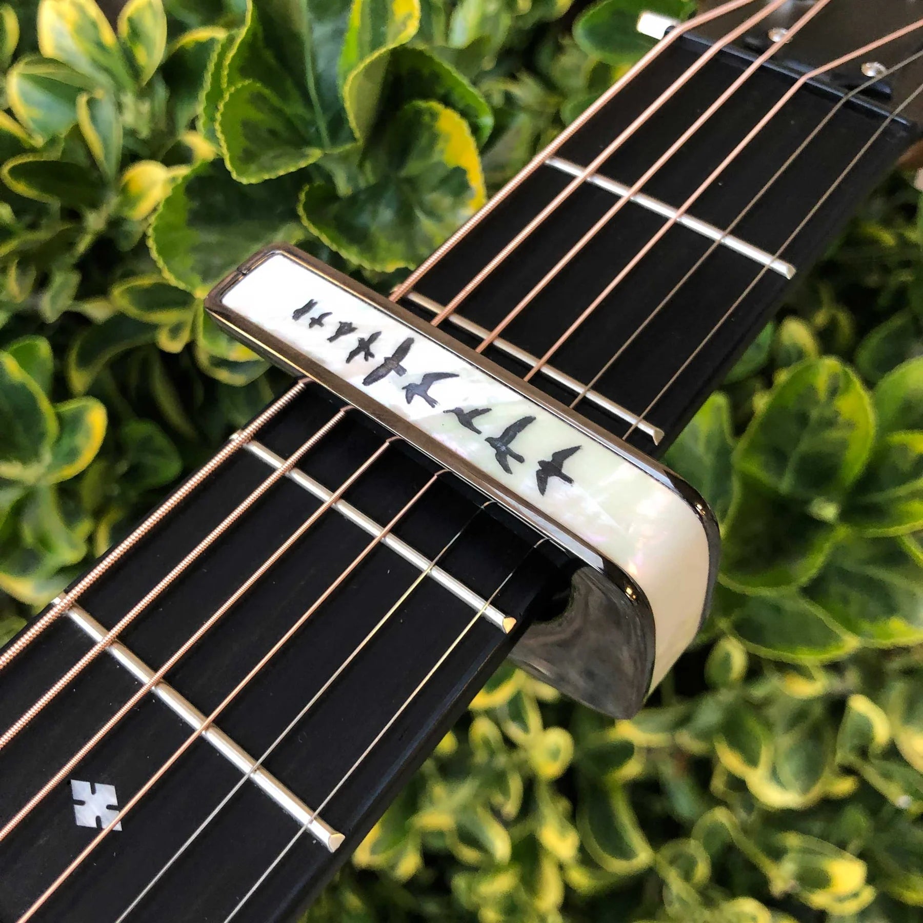 Thalia Guitar Capo Deluxe Birds on Pearl Black Chrome