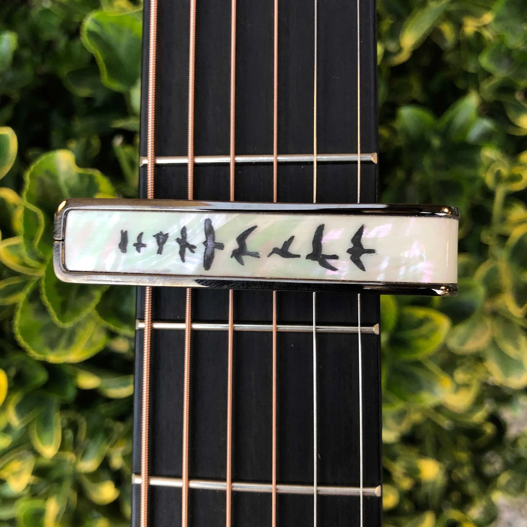 Thalia Guitar Capo Deluxe Birds on Pearl Black Chrome