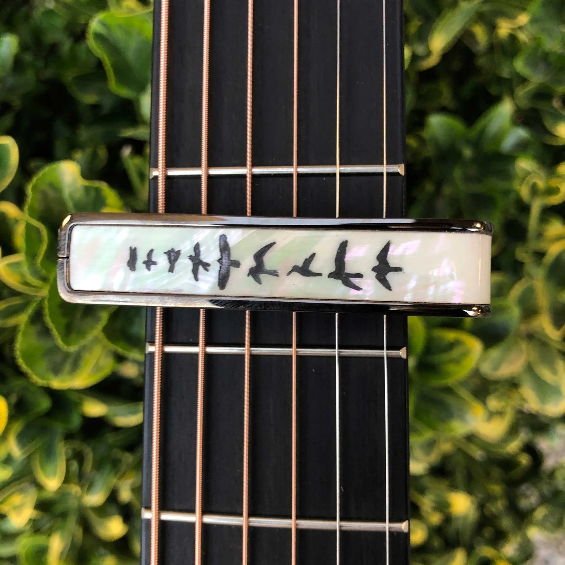 Thalia Guitar Capo Deluxe Birds on Pearl Black Chrome